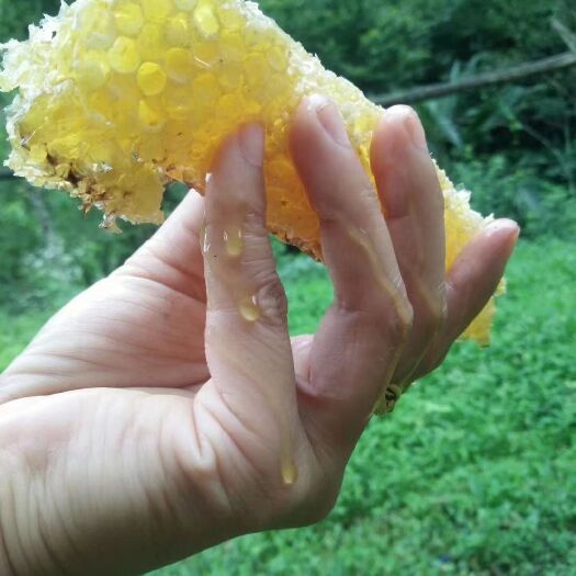 吉首市百花蜜 湘西大山里的甜蜜蜜