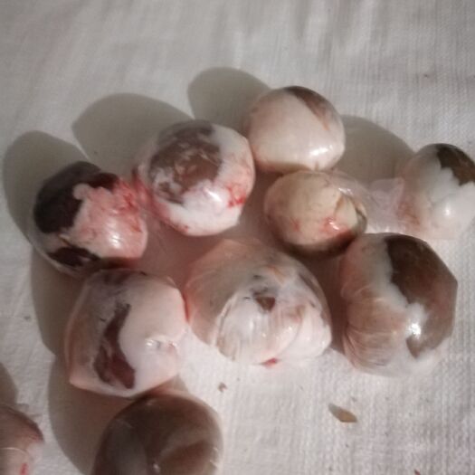 阿旗 原油羊腰