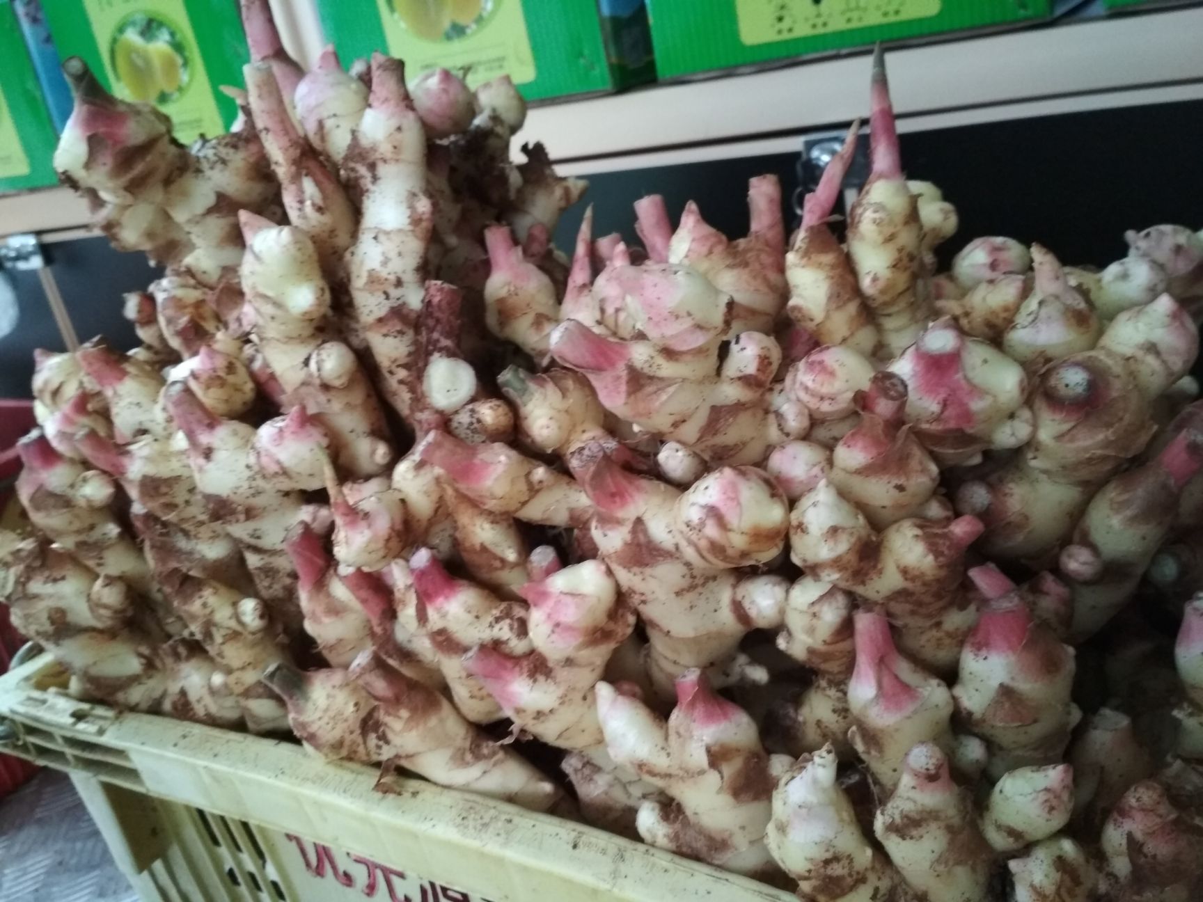  大量上市，白姜