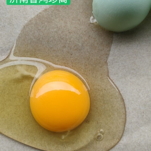 济南绿壳鸡蛋  绿壳乌鸡蛋