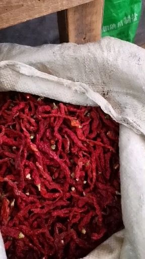 无把子干线椒