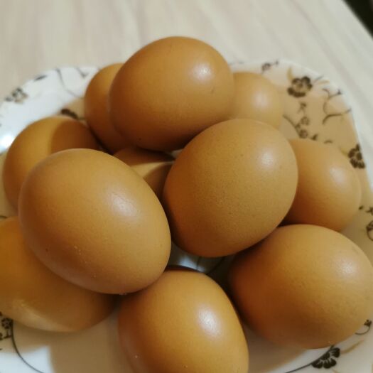 仙桃市红皮鸡蛋 红蛋，粉蛋量大均有销售