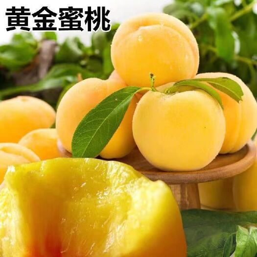 黄桃树苗 早熟黄金蜜桃，果汁多，甜度大，品种纯