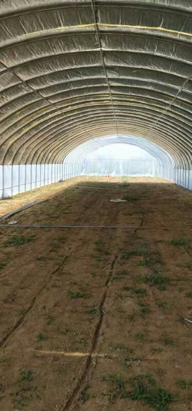 长兴县养殖大棚 养殖棚种植棚单体棚连体棚都可随意定制