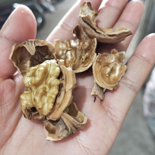 灵寿县 大量薄皮干核桃开始啦！