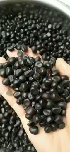  牡丹种子，药用牡丹，观赏牡丹种子，富贵花种子