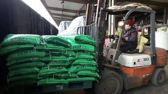 紫云英种子红花草种子养蜂蜜源绿肥牧草种子食用野菜种籽