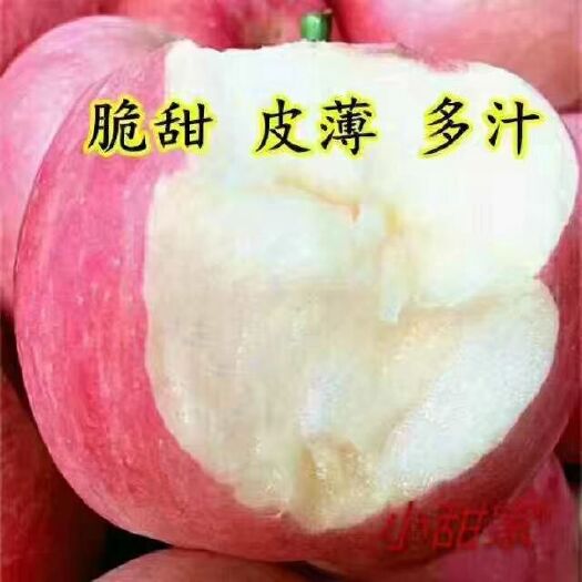 红富士苹果 红富士各种规格1000万吨