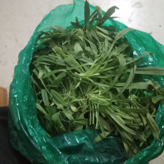聊城面条菜