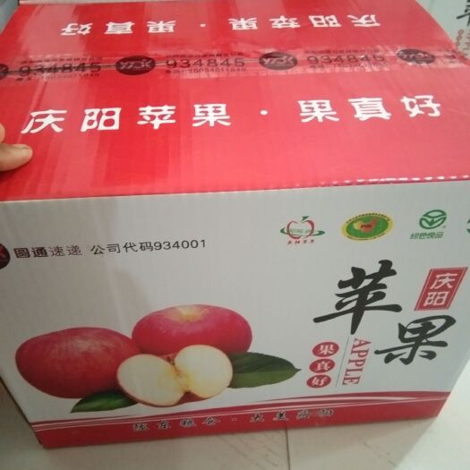 合水县 中国甘肃庆阳苹果集地，欢迎你的选