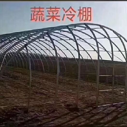 天津钢管大棚 专业生产大棚管