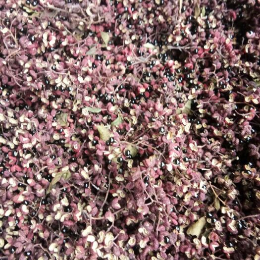 平遥县红花椒 特级 干花椒