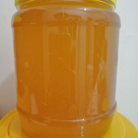 叶县 自产自销的蜂蜜，绝，良心品质，支持一件代发，