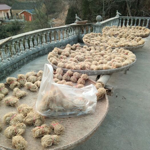 金寨县 纯手工制作，农家自种自作粉丝