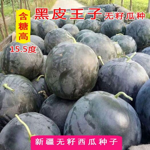 樟树市 无籽西瓜种子纯黑皮大红瓤皮薄不裂糖度高无杂瓜亲本育成原装