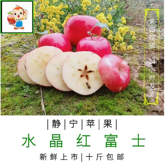 静宁县 吃遍天下苹果，还想静宁苹果！
