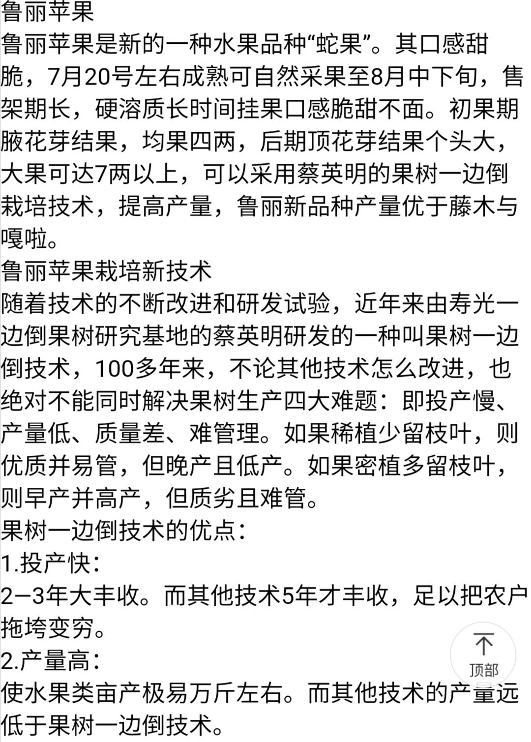  鲁丽苹果树苗，新品种，成熟早，脆甜爽口