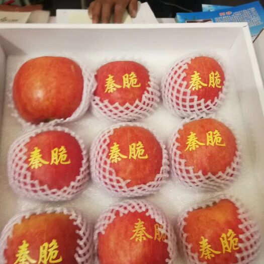 邢台 大量苹果有需求的请联系
