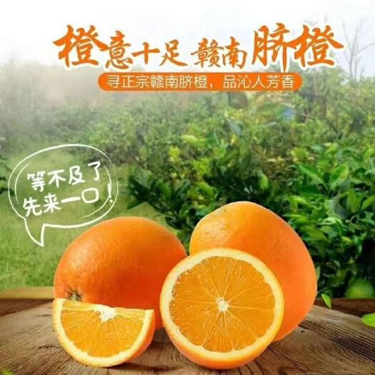 信丰县赣南脐橙 信丰脐橙