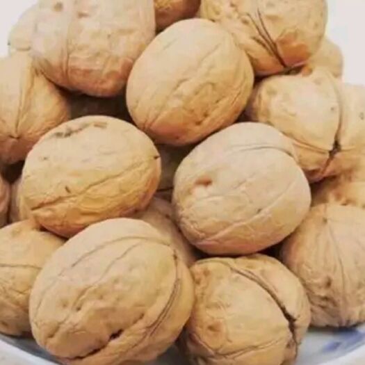芒市 云南生态核桃:薄皮核桃/新疆核桃/老品种核桃。可长期合作。