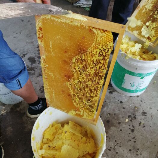 松滋市 正宗农家土蜂蜜