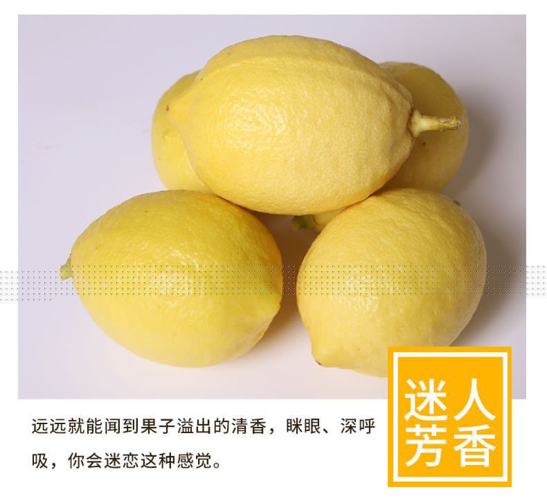 新鲜黄柠檬 尤力克黄柠檬 中大果  批发 一件代发包邮