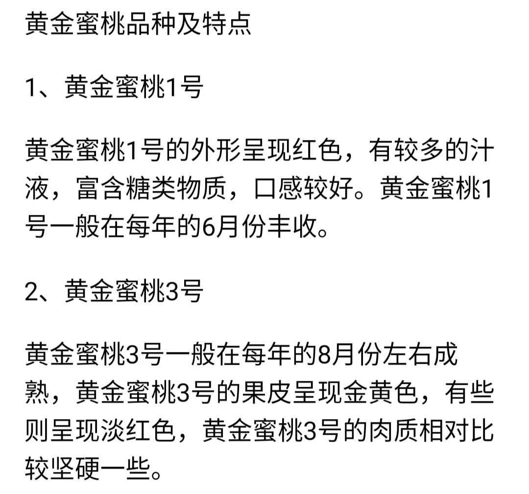  黃金蜜桃樹苗嫁接桃樹苗晚黃金桃樹苗品種多當年結(jié)果南北方種植