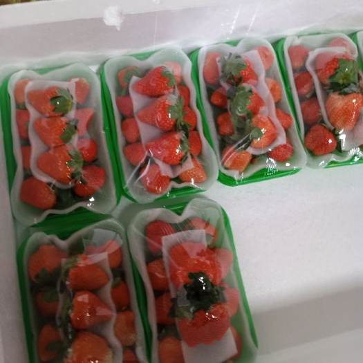 徐州 代购各种草莓，宁玉_宁峰_甜查理_妙香