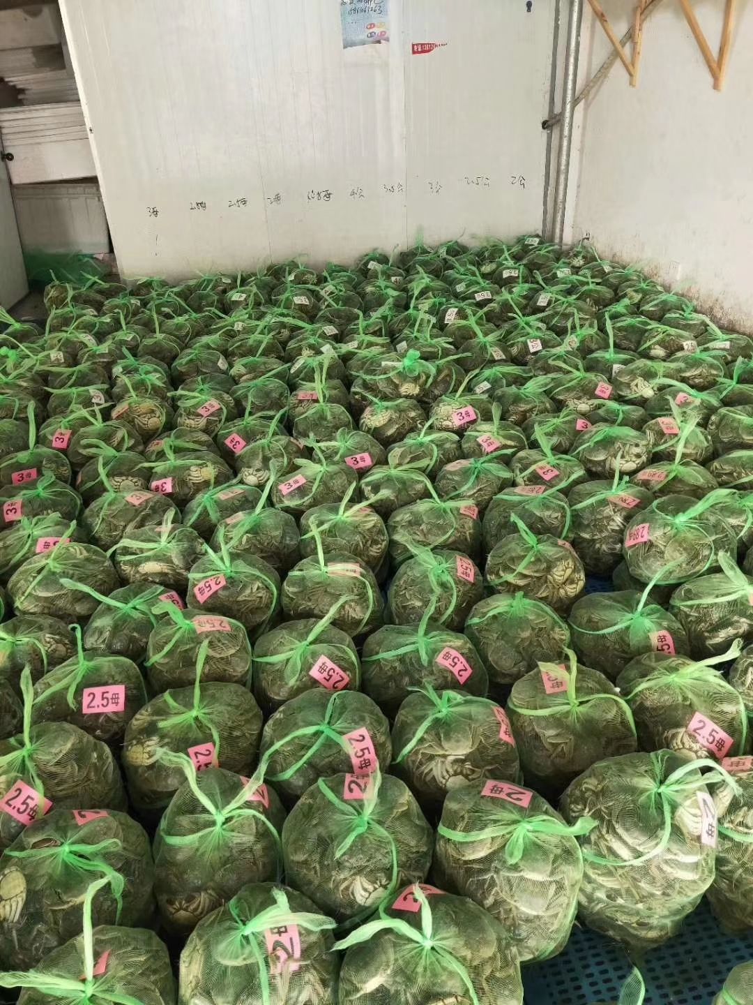 微山湖大闸蟹 统货 2.5-3.0两