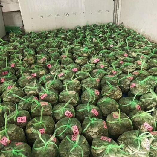 东台市微山湖大闸蟹 统货 2.5-3.0两