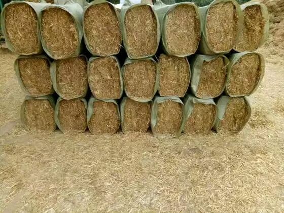 稻草  湖南江西贵州重庆本地切碎牛草短草菌草包邮麦秆甜菜粕棉