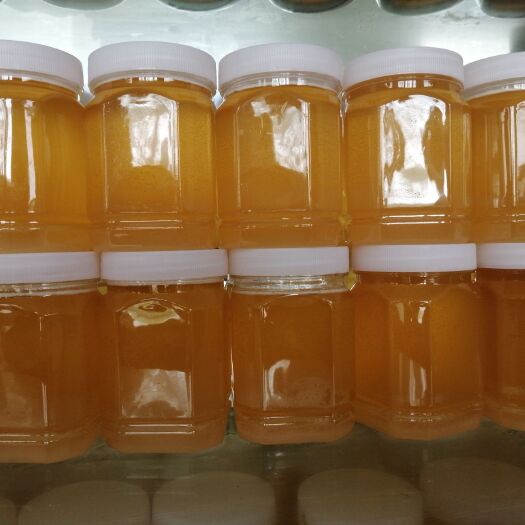 长葛市黄芪蜜 ，五倍子，五味子，益目草 蜂蜜蜂农自产产于药材基地