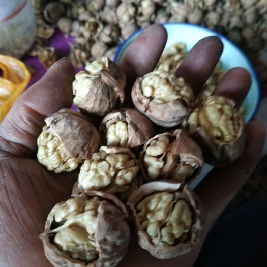 商南县 优质核桃，个头小肉香，无污染，农药，不漂白，