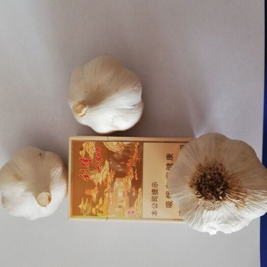 临沂 山东临沂罗庄，为明年大蒜找合作