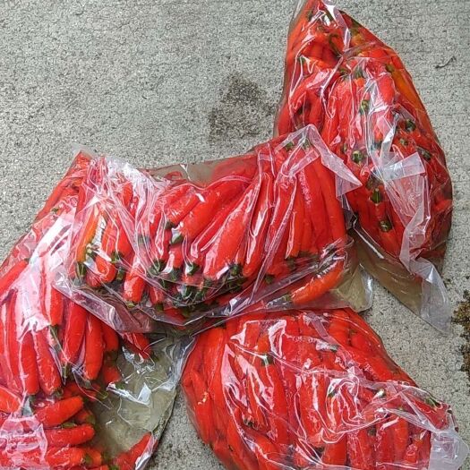 南宁美人椒 个大肥美味道纯正