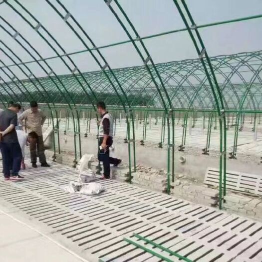 天津钢管大棚 厂家生产各种温室大棚及配件，折弯，缩头，打孔，两头拍扁等。