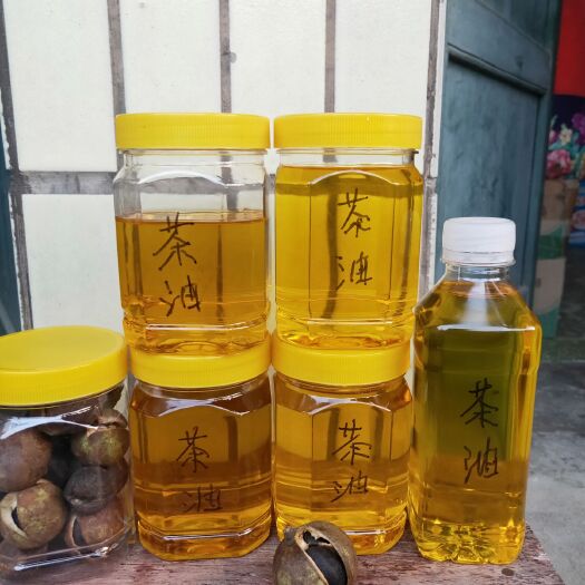 田东县 天然山茶油现榨茶油