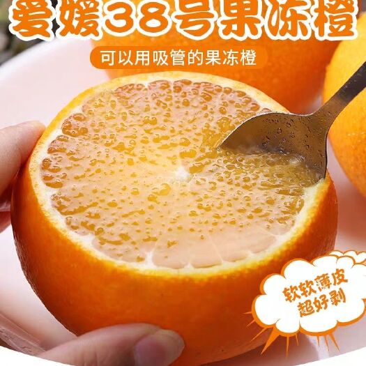 蒲江县甜橙 爱媛——果冻橙寻求合作商