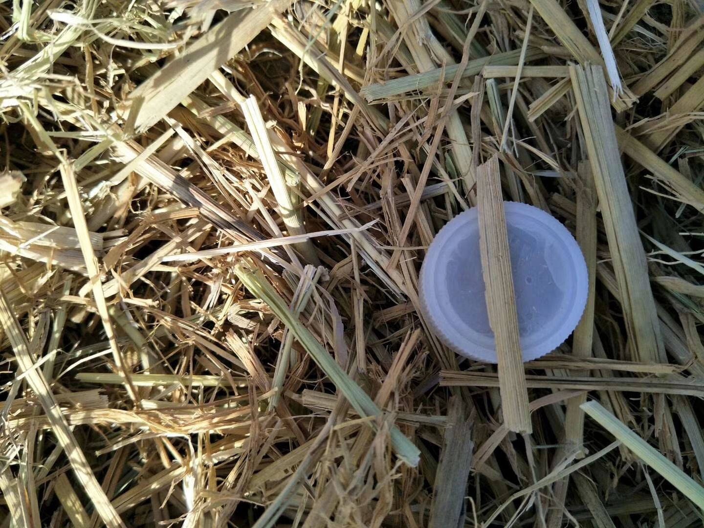 稻草  湖南江西贵州重庆本地切碎牛草短草菌草包邮麦秆甜菜粕棉