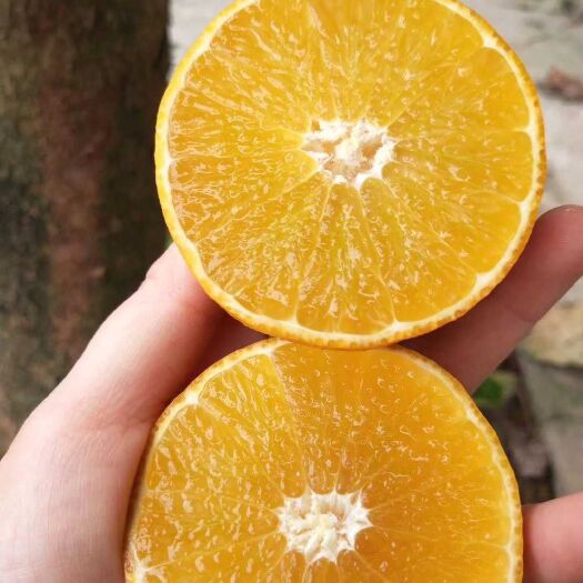 丹棱縣愛媛38號柑桔 四川愛媛38號果凍橙5斤8斤包郵