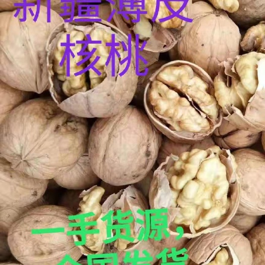 中牟县 新疆纸皮核桃