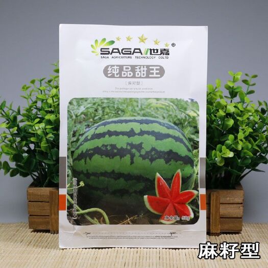 世嘉【纯品甜王】西瓜种子大果短椭圆形大红瓤甜脆爽口皮薄质抗