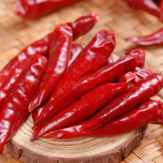 金乡县 干辣椒🌶️微辣特香 红干辣椒壳 火锅店专备包邮干度足
