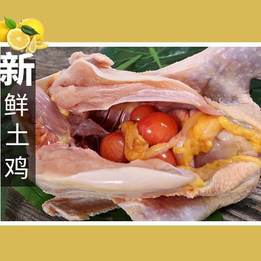 武陟县 鸡鲜生【2/2.8斤】农家散养2年左右土鸡老母鸡走地鸡柴鸡