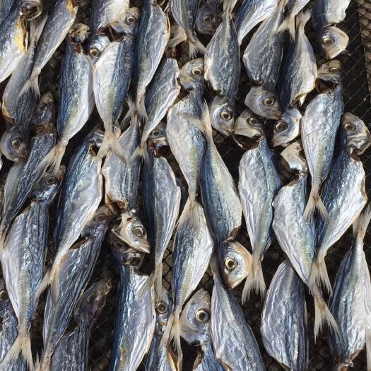 江门巴沙鱼  淡干巴浪鱼