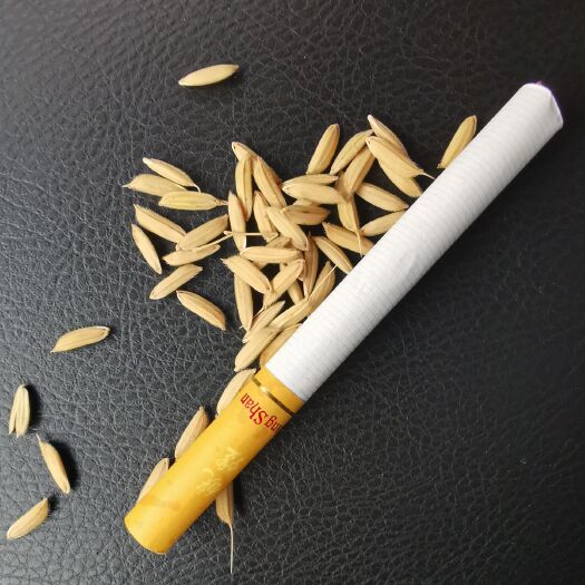 明光市 徽两优，华占，丰良又，等品种，湿稻谷。出米率68到70
