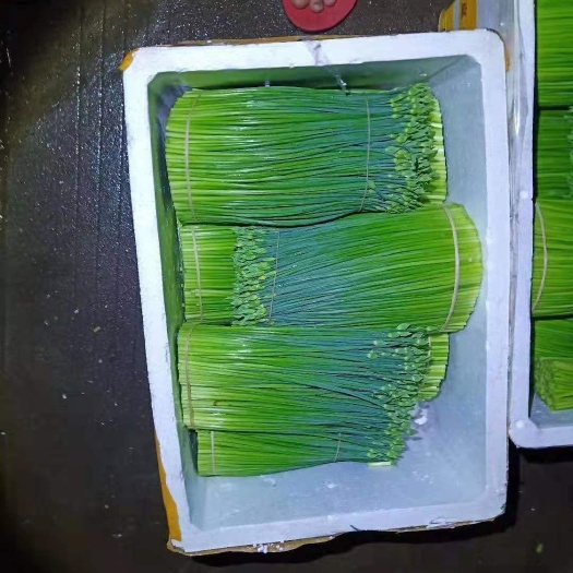 韭菜花 每日新鲜，超市