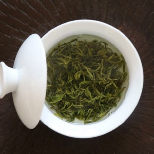 广州丁香茶 茶叶基地直供