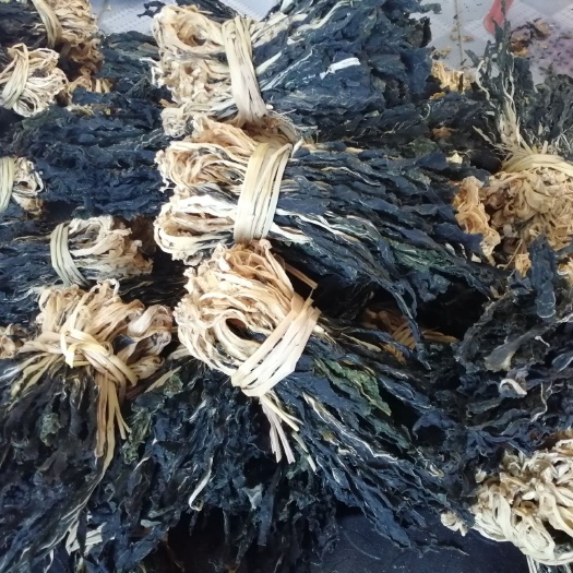 脱水白菜干 小白菜干 产地直销有货 有种苗 有加工技术