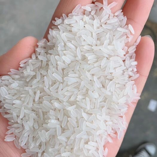 徐州苏北大米  大米 香米 细米 筛选色选抛光出成品卖米我们是认真的